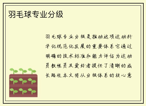 羽毛球专业分级