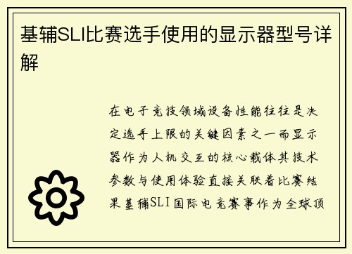 基辅SLI比赛选手使用的显示器型号详解