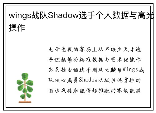 wings战队Shadow选手个人数据与高光操作